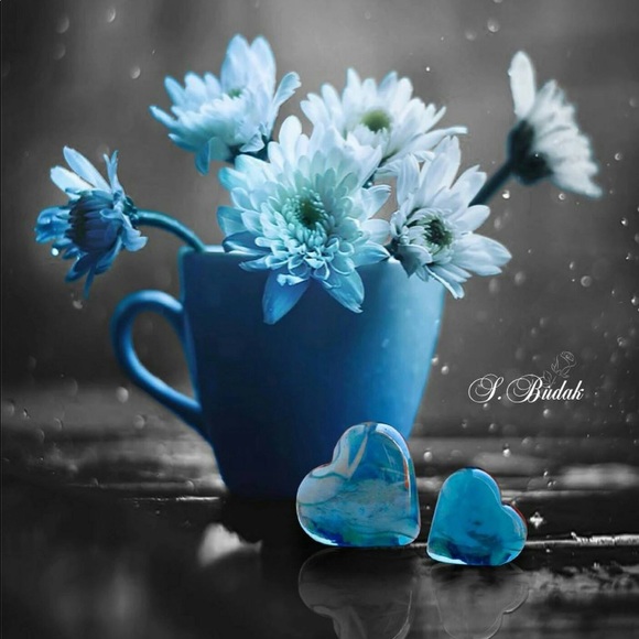 Meet your Posher, Nicole - Picture 1 of 1